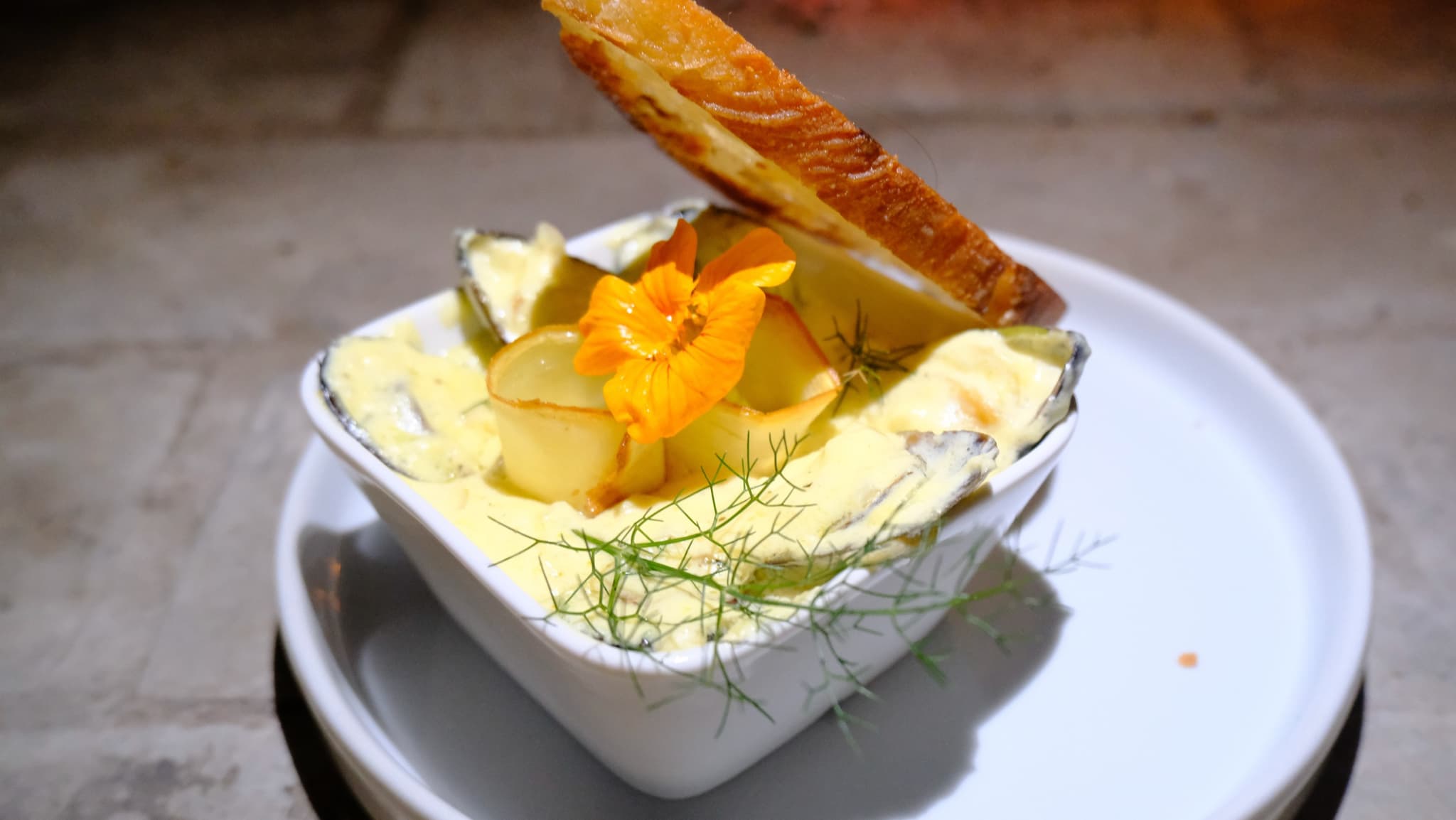 Artisan starter with nasturtium flower and toasted bread
