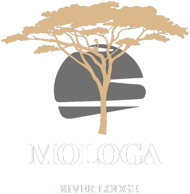 Mologa River Lodge