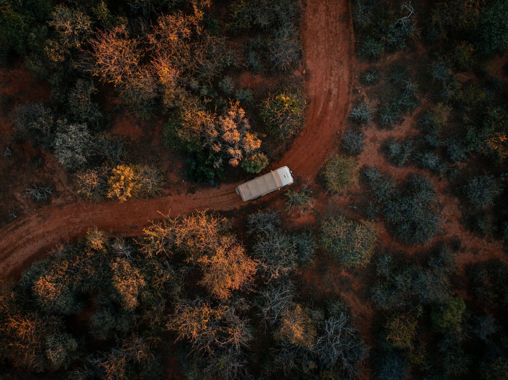 This is Mologa River Lodge