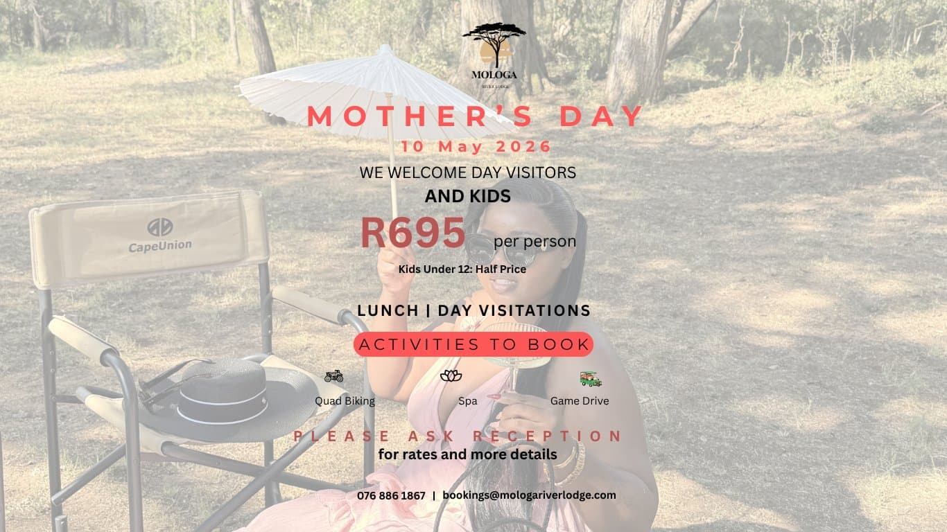 Mother's Day Buffet at Mologa